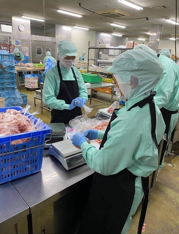 Các bạn nữ đơn hàng lao động Nhật Bản làm chế biến thực phẩm đang làm việc tại Kabushikigaisha Ueda Shoten